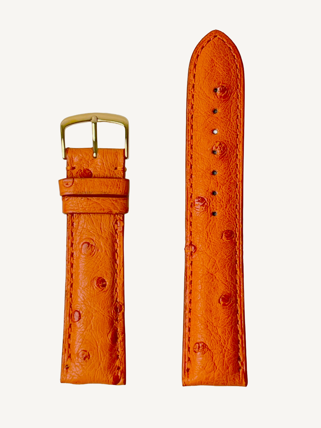 Orange Genuine Ostrich | h2003