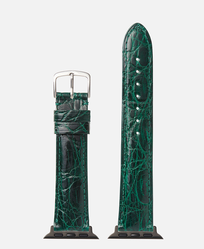 Green Genuine Crocodile | h2001
