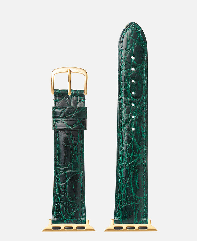 Green Genuine Crocodile | h2001