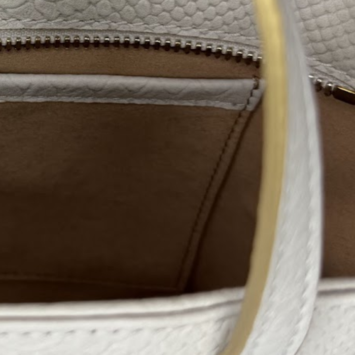 Soft Vanilla Cream and Gold Karmela Python-Embossed Leather Petite Handbag