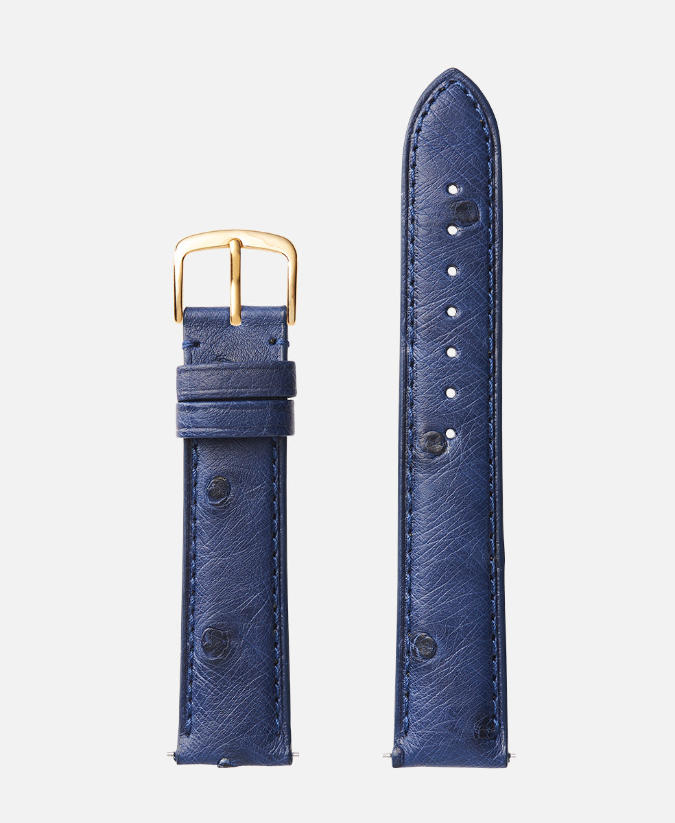 Blue Genuine Ostrich | h2003