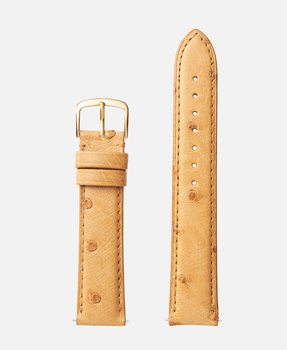 Natural Genuine Ostrich Watch Band with Gold Buckle